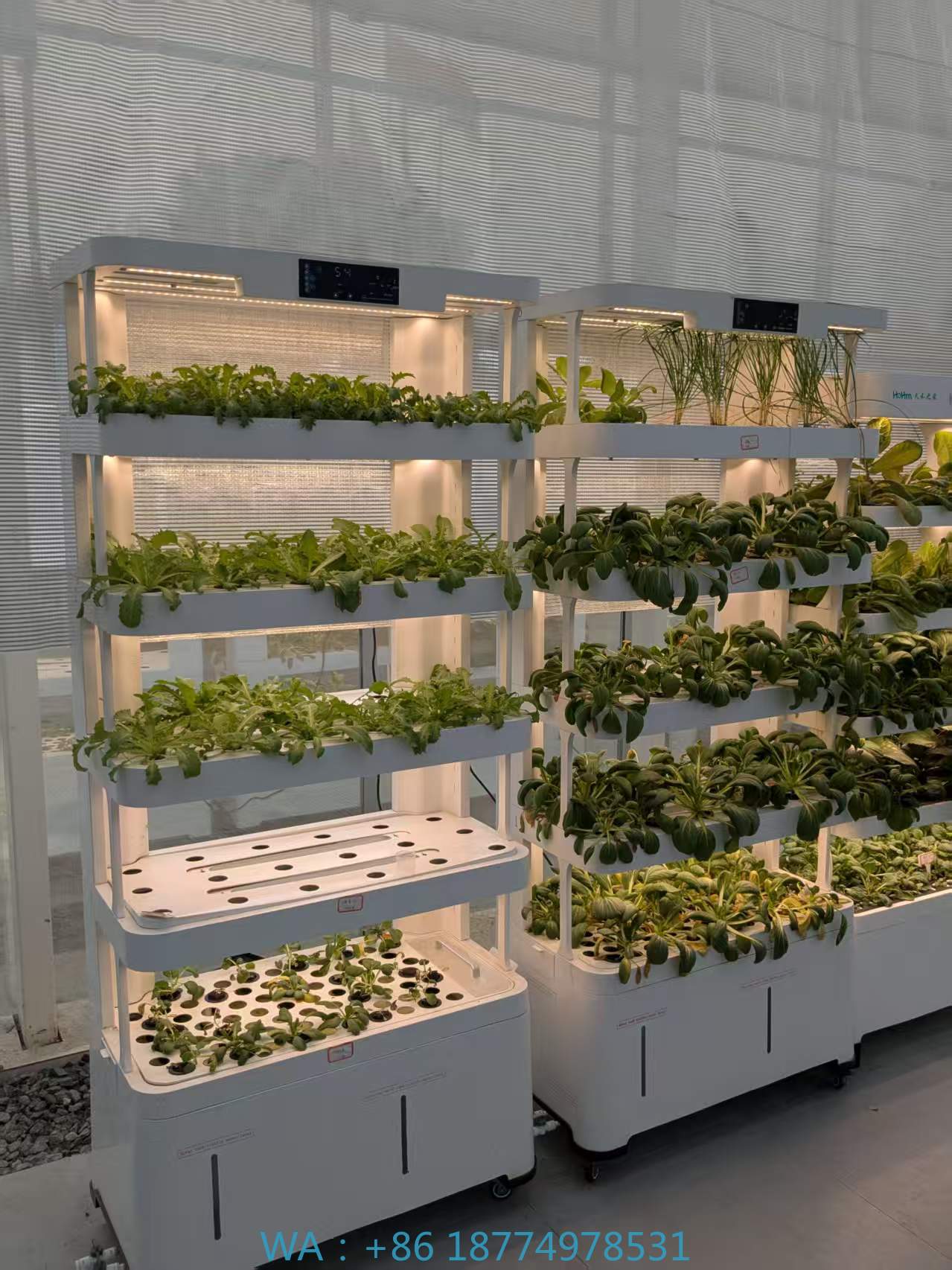 Smart Garden Vertical - nt Vertical Farming EquipmentNew Arrival Indoor