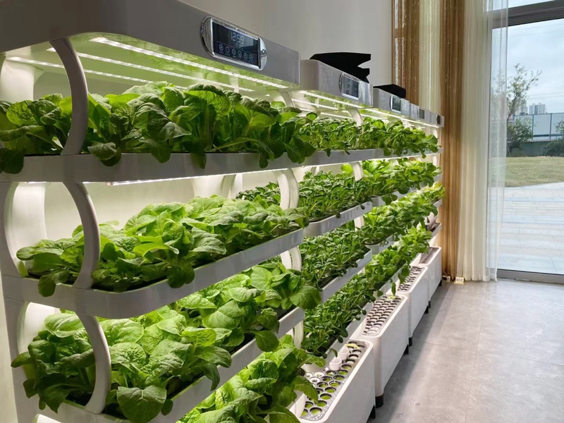 and Vertical Greenhouse Comple - огляд і ціна Smart Garden Vertical