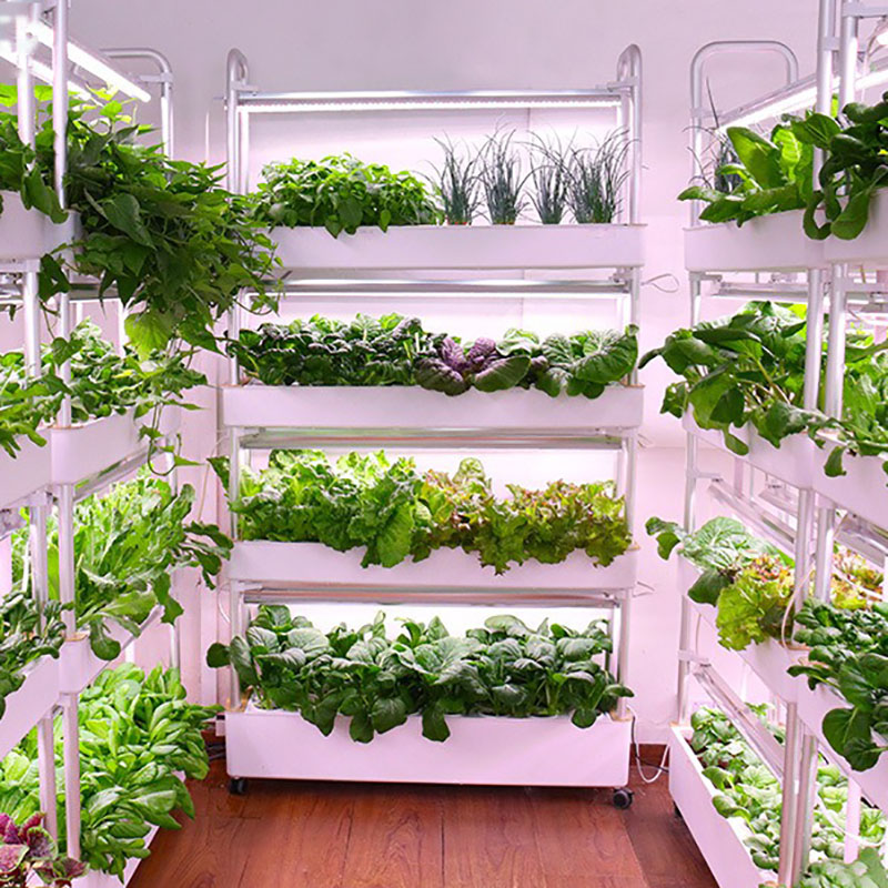 Hydroponics Growing System Ver - огляд і ціна Smart Garden Vertical