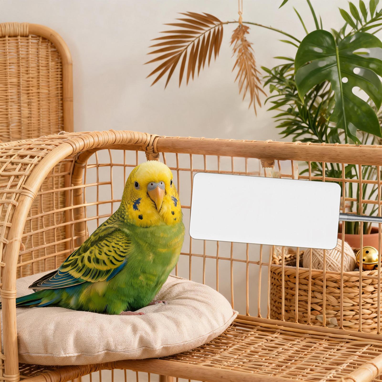 Bird Heater 5V Safe Pet Winter - огляд і ціна Smart Garden Bird Bath