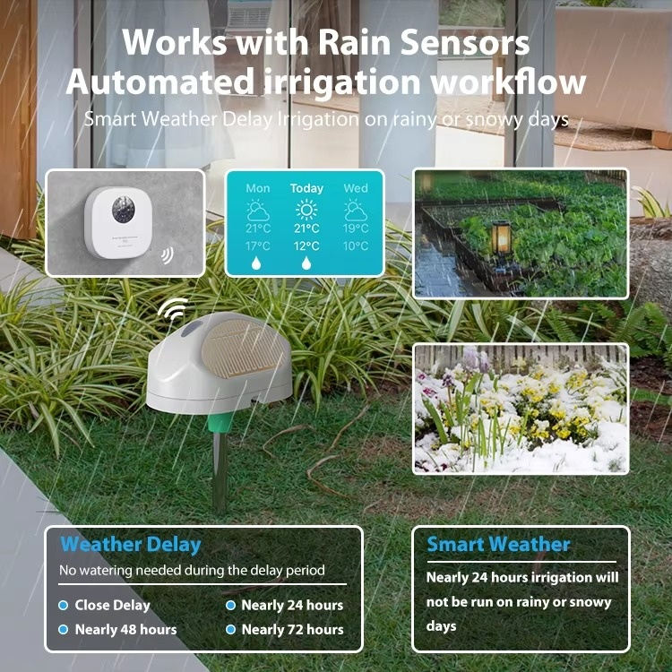 Tuya WiFi Smart Sprinkler Cont - огляд і ціна Smart Garden Zone